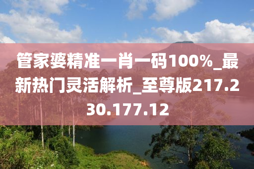 管家婆精准一肖一码100%_最新热门灵活解析_至尊版217.230.177.12