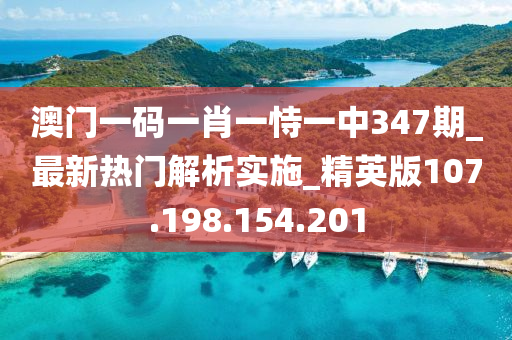 澳门一码一肖一恃一中347期_最新热门解析实施_精英版107.198.154.201