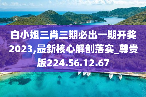 白小姐三肖三期必出一期开奖2023,最新核心解剖落实_尊贵版224.56.12.67