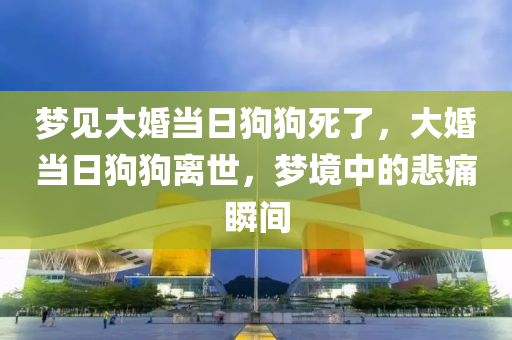 梦见大婚当日狗狗死了，大婚当日狗狗离世，梦境中的悲痛瞬间