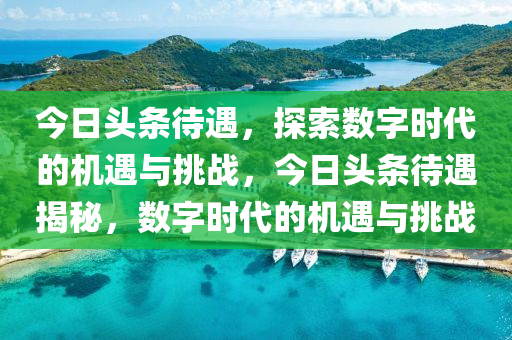 今日头条待遇，探索数字时代的机遇与挑战，今日头条待遇揭秘，数字时代的机遇与挑战