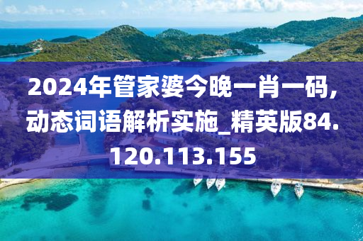 2024年管家婆今晚一肖一码,动态词语解析实施_精英版84.120.113.155