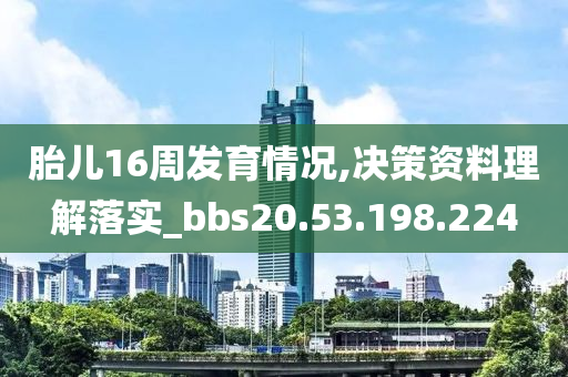 胎儿16周发育情况,决策资料理解落实_bbs20.53.198.224