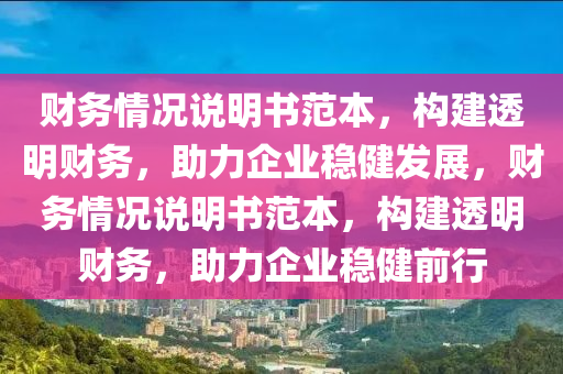 财务情况说明书范本，构建透明财务，助力企业稳健发展，财务情况说明书范本，构建透明财务，助力企业稳健前行