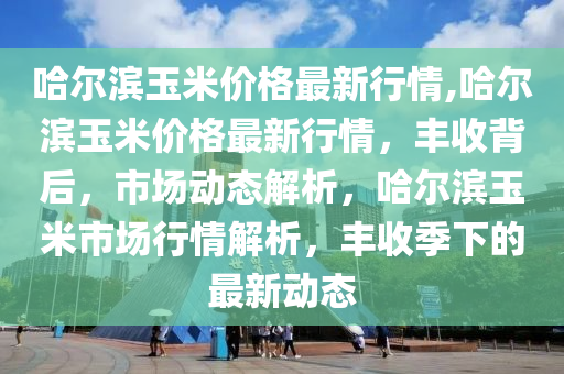 哈尔滨玉米价格最新行情,哈尔滨玉米价格最新行情，丰收背后，市场动态解析，哈尔滨玉米市场行情解析，丰收季下的最新动态