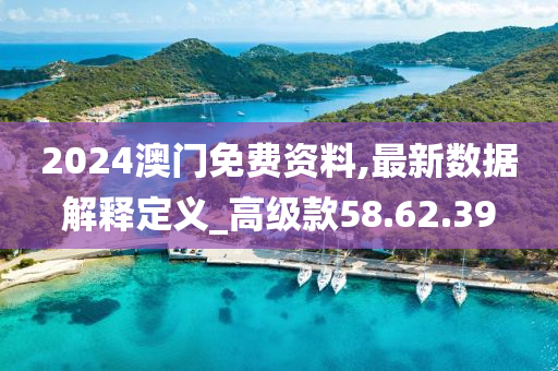 2024澳门免费资料,最新数据解释定义_高级款58.62.39