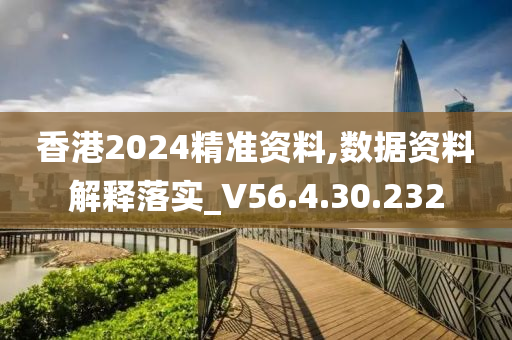 香港2024精准资料,数据资料解释落实_V56.4.30.232