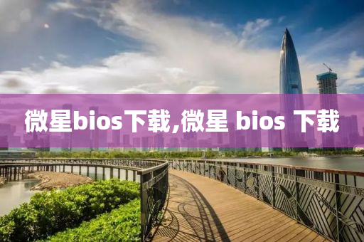 微星bios下载,微星 bios 下载