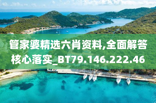 管家婆精选六肖资料,全面解答核心落实_BT79.146.222.46