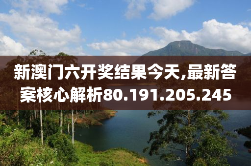 新澳门六开奖结果今天,最新答案核心解析80.191.205.245