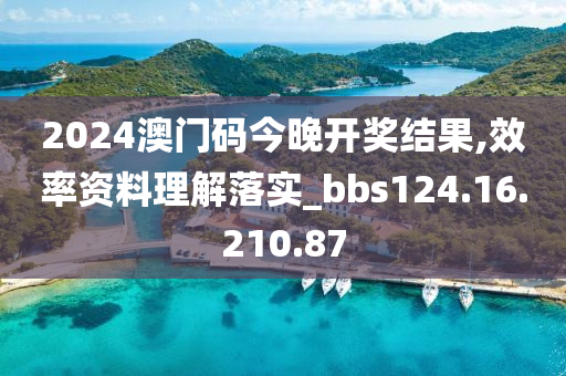 2024澳门码今晚开奖结果,效率资料理解落实_bbs124.16.210.87