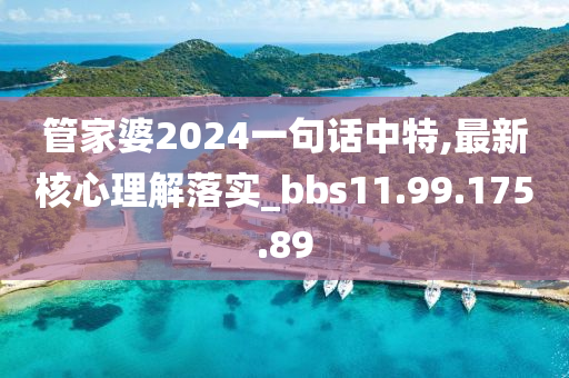 管家婆2024一句话中特,最新核心理解落实_bbs11.99.175.89