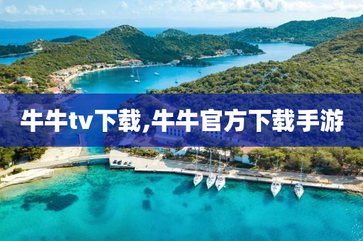 牛牛tv下载,牛牛官方下载手游