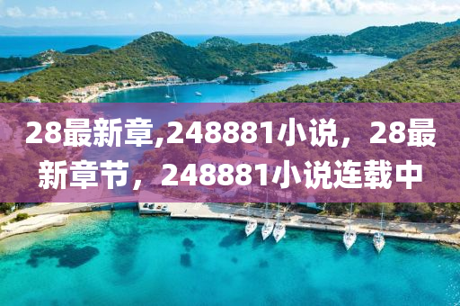 28最新章,248881小说，28最新章节，248881小说连载中