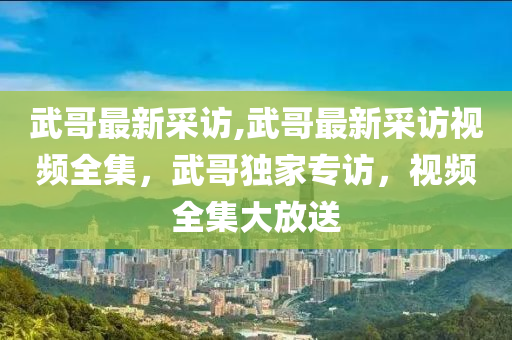 武哥最新采访,武哥最新采访视频全集，武哥独家专访，视频全集大放送