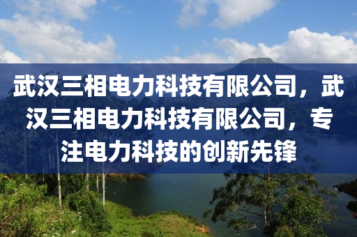 武汉三相电力科技有限公司，武汉三相电力科技有限公司，专注电力科技的创新先锋