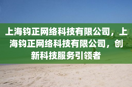 上海钧正网络科技有限公司，上海钧正网络科技有限公司，创新科技服务引领者