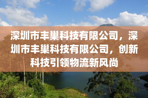 深圳市丰巢科技有限公司，深圳市丰巢科技有限公司，创新科技引领物流新风尚