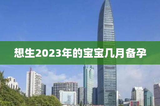 想生2023年的宝宝几月备孕