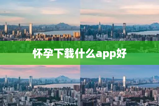 怀孕下载什么app好