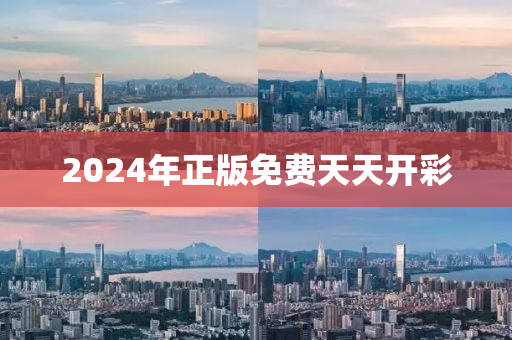 2024年正版免费天天开彩